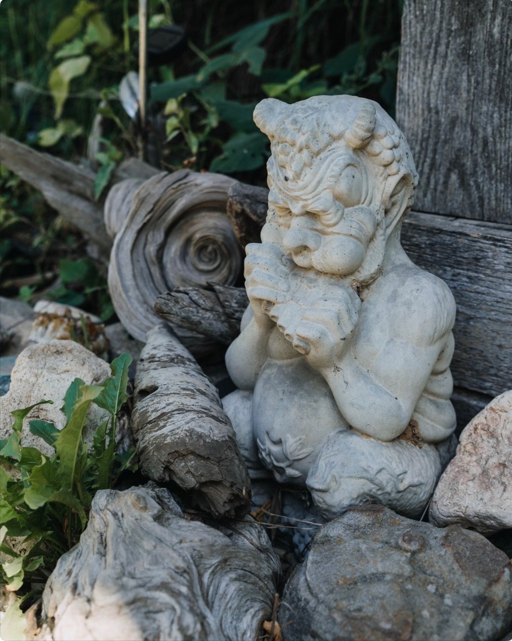 Dripping Springs Garden photo