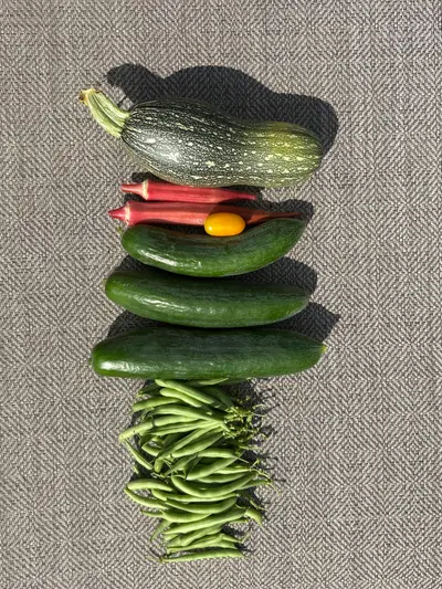 Garden photo