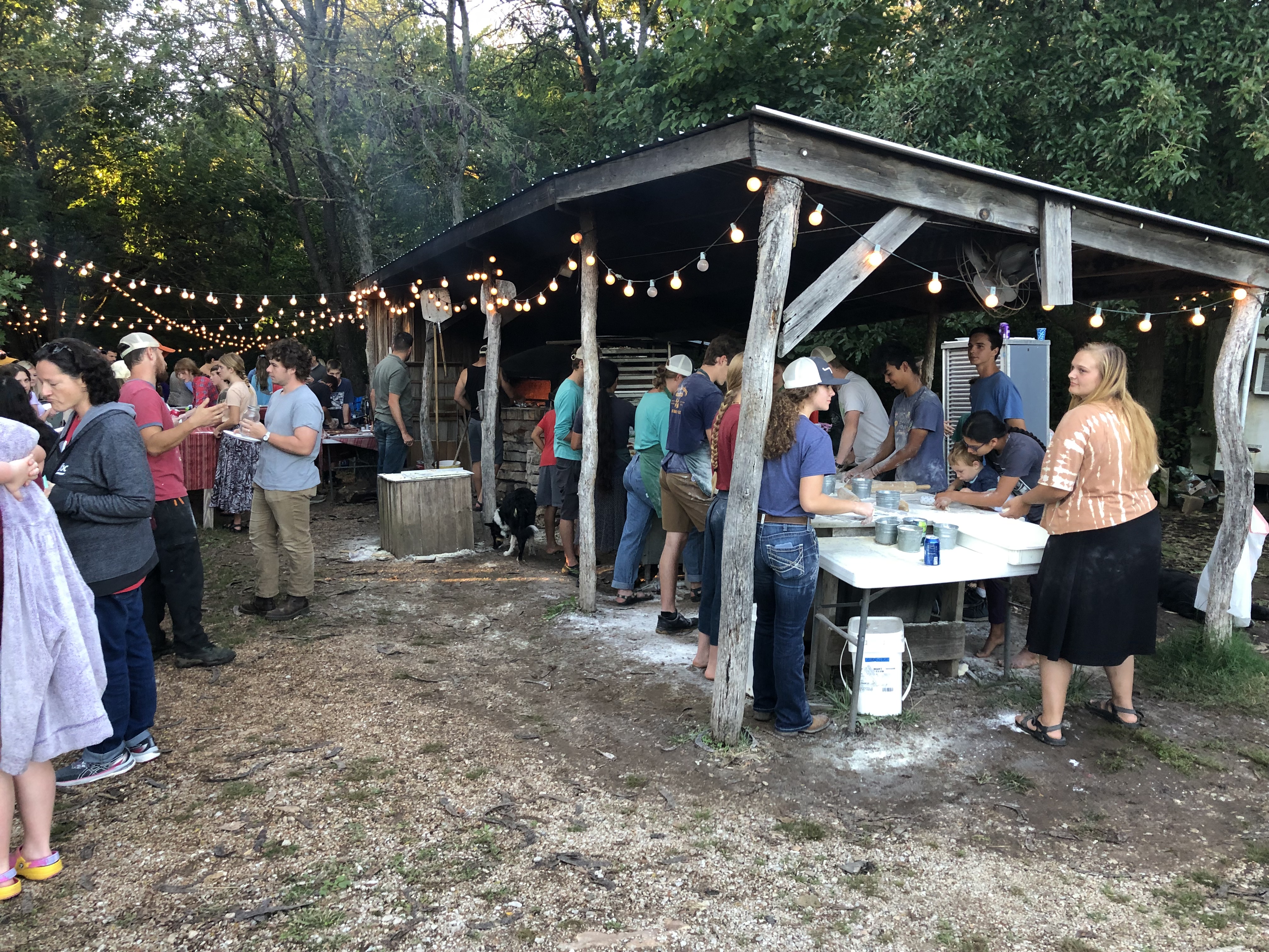 Dripping Springs Garden photo