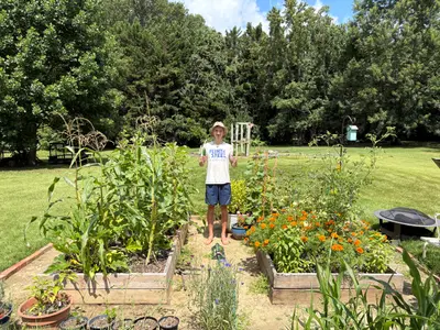 Garden photo