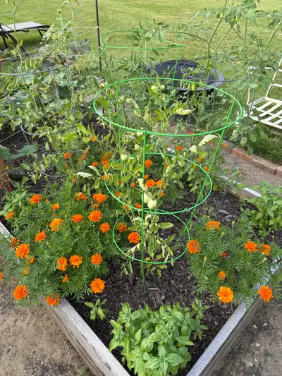 Garden photo