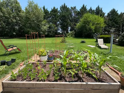 Garden photo