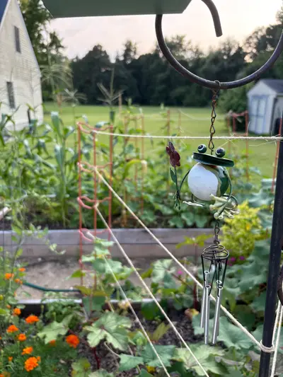 Garden photo