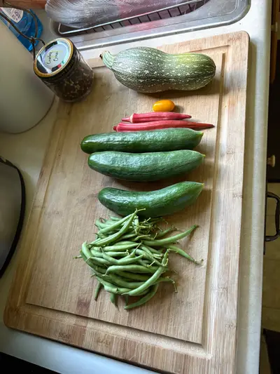 Garden photo
