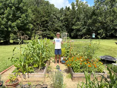 Garden photo